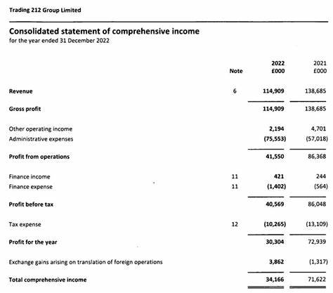 Non-UK Trading 212 Entities in 2022: Sharp Revenue Drop and Loss - Finance Magnates
