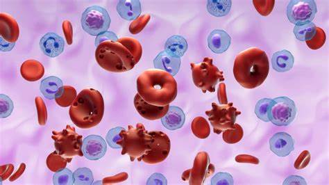 Blood clotting discovery opens "whole new chapter in vascular biology