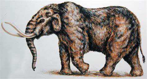 If I Ran Mastodon