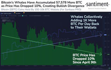 Bitcoin Whales Unfazed by Market Volatility, Continue Accumulating BTC - Blockchain Reporter