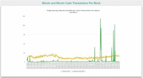 Bitcoin: Geschichte und Unterschiede von BTC, BCH und BSV