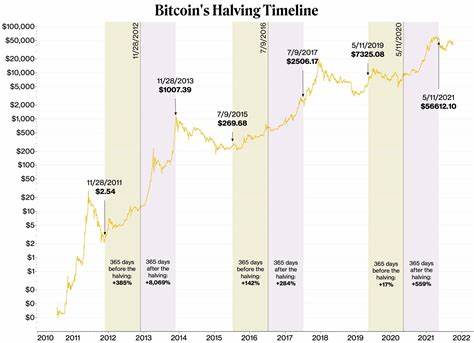 Bitcoin-Halbierung steht bevor: 3 Kryptowährungen, die Sie jetzt kaufen können

