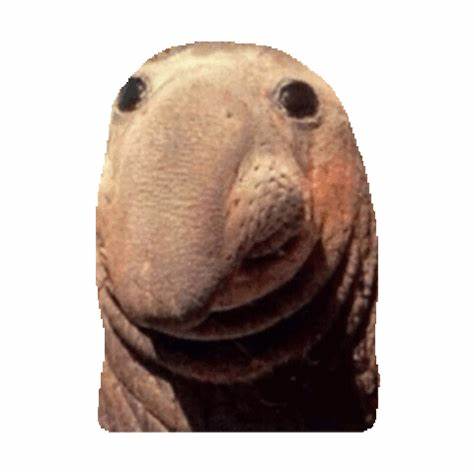 Aaaaa