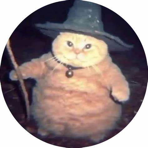 Wizard Cat (WIZARD) Price Prediction 2025, 2026, 2027, 2028, 2029