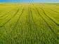 CF Industries (CF) Rallies 6% on Trump’s Biofuels Policy