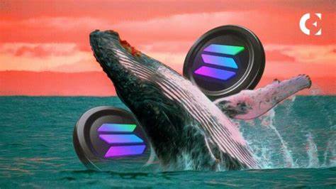 Major Whale Activity Raises Concerns: 200,000 Solana Tokens Set to Be Liquidated