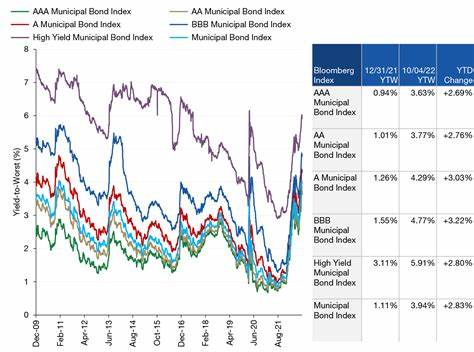 LA Utility Makes $1 Billion Return to Muni Bond Market