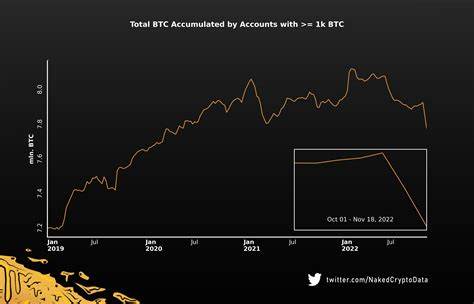 Wal-Ansturm auf Bitcoin: 47.000 BTC haben sich in 24 Stunden angesammelt
