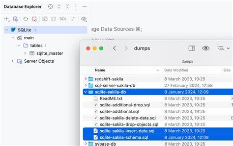 Lockbit SQL Dump Visualizer