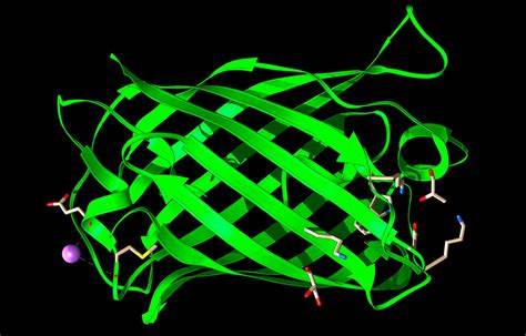 I told AI to make me a protein. Here's what it came up with