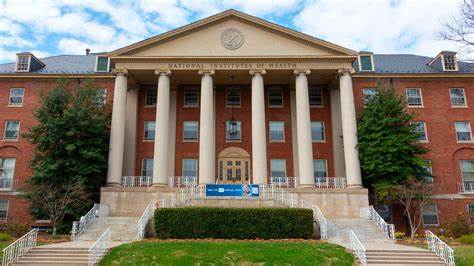 Citing NIH Cuts, a Top Science Journal Stops Accepting Submissions