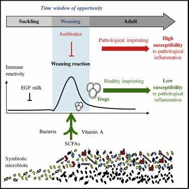Resistance to Immunity (2019)