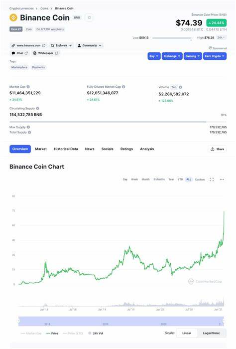 How High Can Binance Coin Surge After CZ Is Released? - Watcher Guru