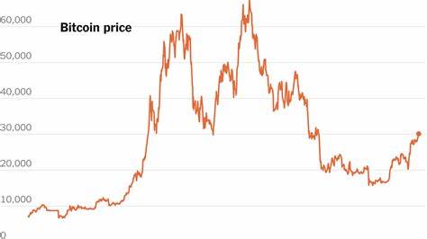 Bitcoin may rally regardless of whether Trump or Harris wins the election
