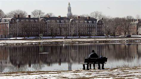 Harvard revokes tenure and cuts ties with star business professor