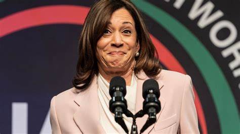Democratic Congressman Has 'Good Indications' Kamala Harris Will Be Better on Crypto Than Biden - Decrypt