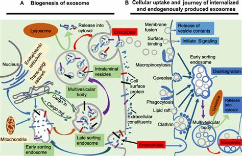 Doubts about exogenous planet biogenesis