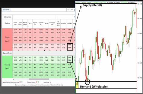 Forex trading Bitcoin, trading short USD/JPY, SNB interest rate this week [Video]