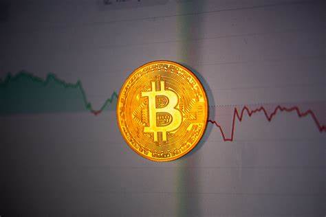 Governments aren’t changing Bitcoin — ‘Bitcoin is changing them,’ says Bitcoin Bond CEO