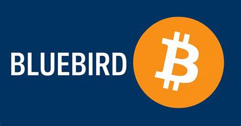 Bluebird Mining To Adopt Bitcoin Strategy With Future Gold Revenue