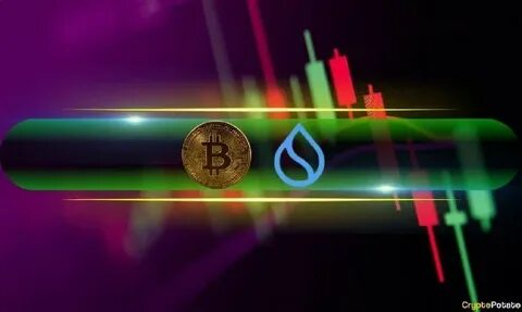 SUI Jumps by 9% Daily, BTC Price Recovers $5K (Weekend Watch)
