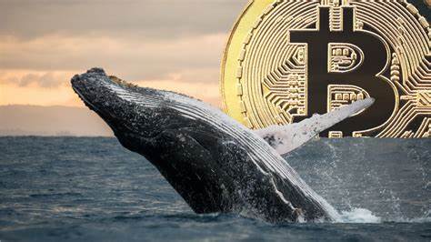 Bitcoin erobert 69.000 US-Dollar zurück: Werden Wale und Privatanleger BTC auf 75.000 US-Dollar treiben?
