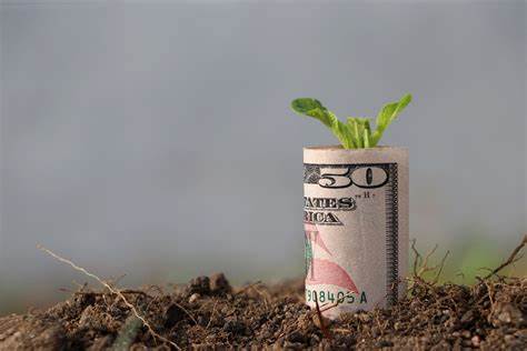 Vanguard Poised to Gain the Lead in ETF Assets: Bloomberg