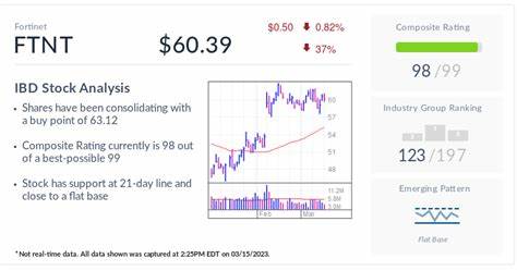 Funds Endorse Cybersecurity Leader And Two Stocks Near Buy Points