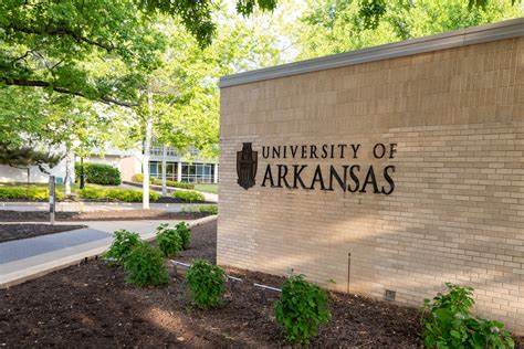 Coinbase Ventures und Haun Ventures sammeln kryptopolitisches Kapital mit Tech Sprint der University of Arkansas – CoinDesk
