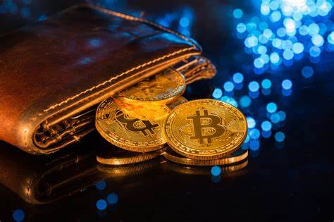 Bitcoin Wallet Guide: Wie du in die DeFi-Welt von BTC eintauchst
