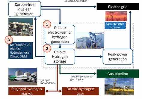 An FMEA Assessment of an Nuclear Powered Hydrogen Production Plant