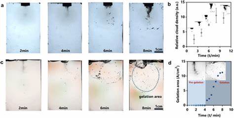 Ultrasound Cavitation Enables Rapid Fabrication of Tough Hydrogels