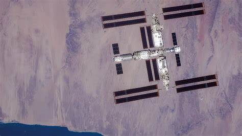Niallia tiangongensis sp. nov., isolated from the China Space Station