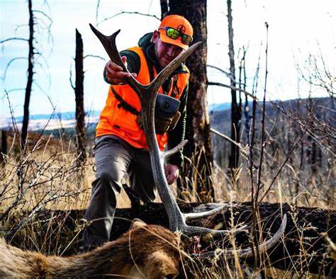 Clickstack: The Elk Killer:)