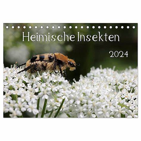 Wespen und Mücken: Wird 2024 ein Insekten-Jahr?
