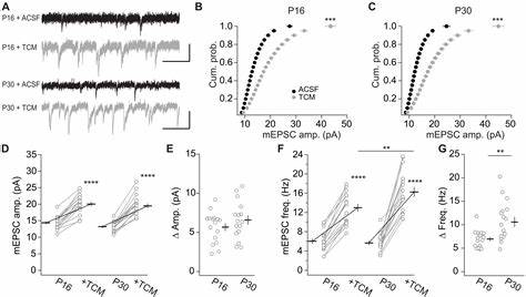 Distinct transmission sites within a synapse for strengthening and homeostasis