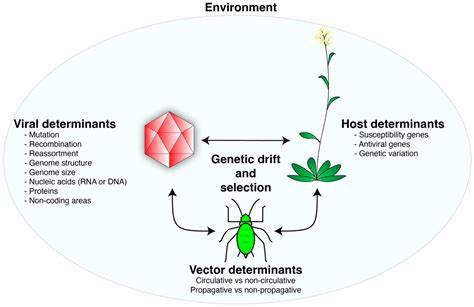 Viral Infection – Knowledge transmission, reproduction, and evolution in a host