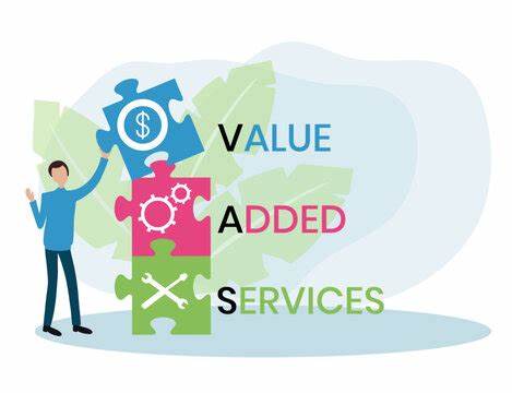 Visa picks value-added services head