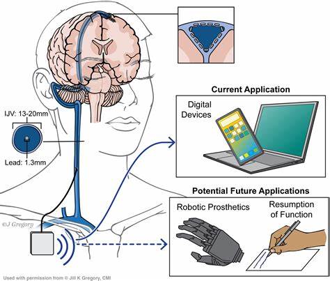 Brain Computer Interfaces