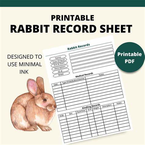 Rabbit: Farm Animal Tracking and Breeding Project