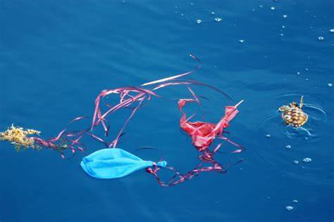 Luftballons schaden der Tierwelt. Florida wird ihre Freilassung verbieten – Yahoo Singapore News
