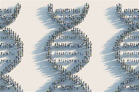 Race, ethnicity don't match genetic ancestry, according to a large U.S. study