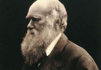 The Victorians, Creation, and the Dinosaur Problem