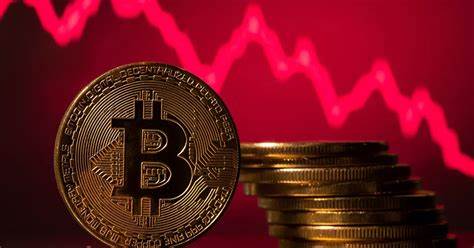 The Crypto Market Grows on Altcoins