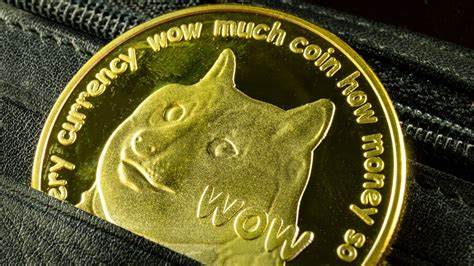 Meme coins are the 'sugar rush' of crypto, luring in new investors