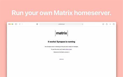 Premium accounts to fund the matrix.org homeserver