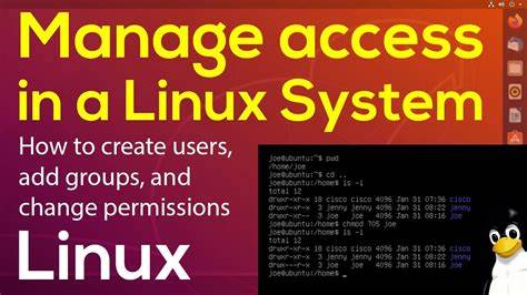Show HN: Public Access Linux System