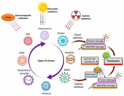 Open Source and the Eradication of Viruses (2013)