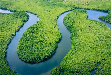 Over half of the CO2 emitted from rivers comes from ancient carbon sources
