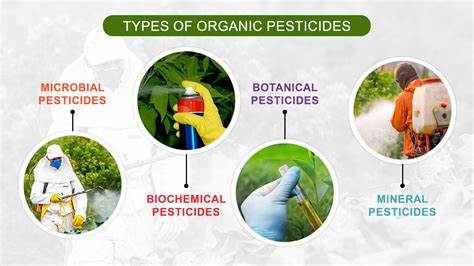 Some plants make their own pesticide – but at what cost to the atmosphere?